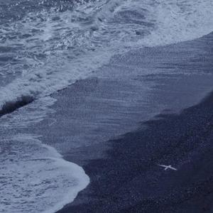 裸体美女私房照视频
